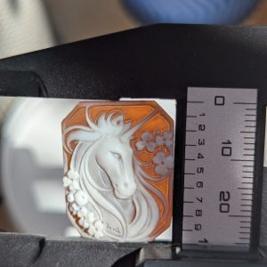 Cameo-unicorn