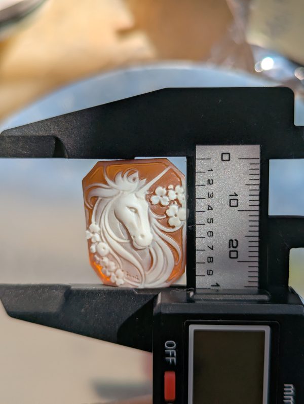 Cameo-unicorn - 图片 5